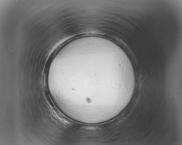 X0000085011125200704021353