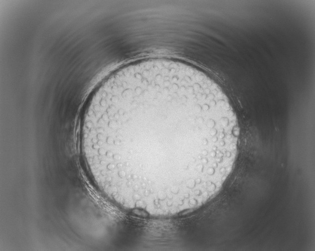 X0000085011126200704021353