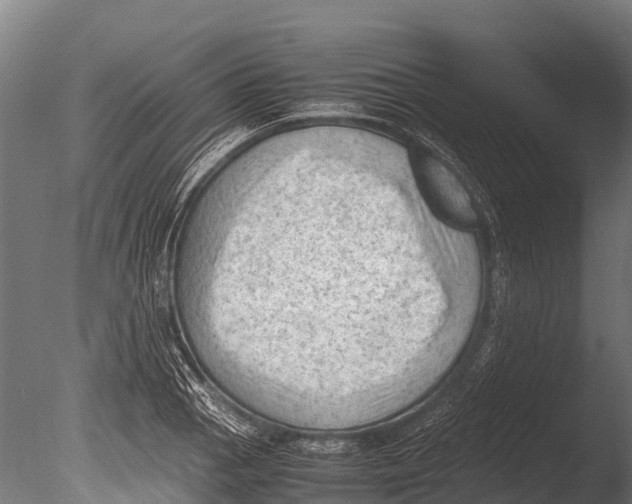 X0000085011129200704021353