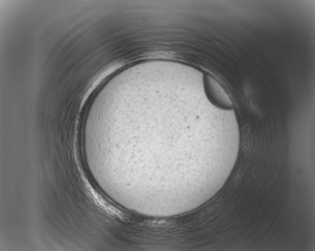 X0000085011139200704021353