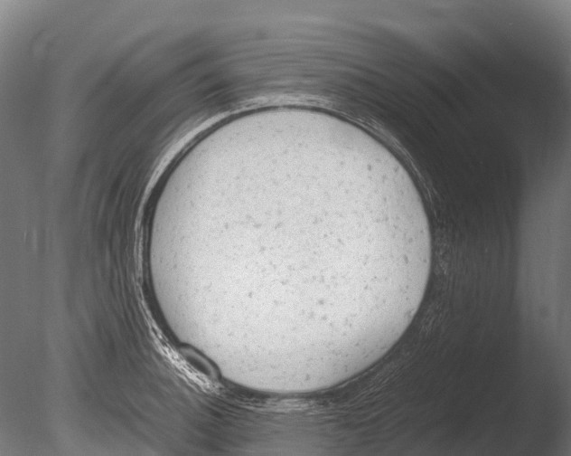 X0000085011140200704021353