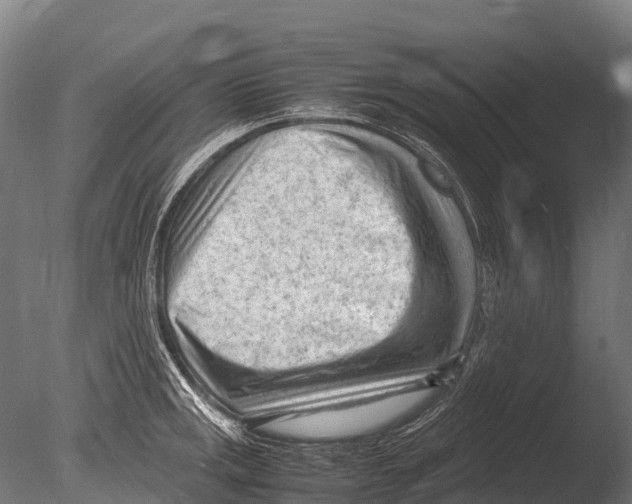 X0000085011141200704021353