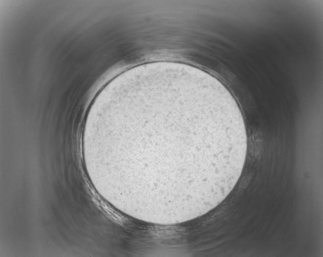 X0000085011150200704021353