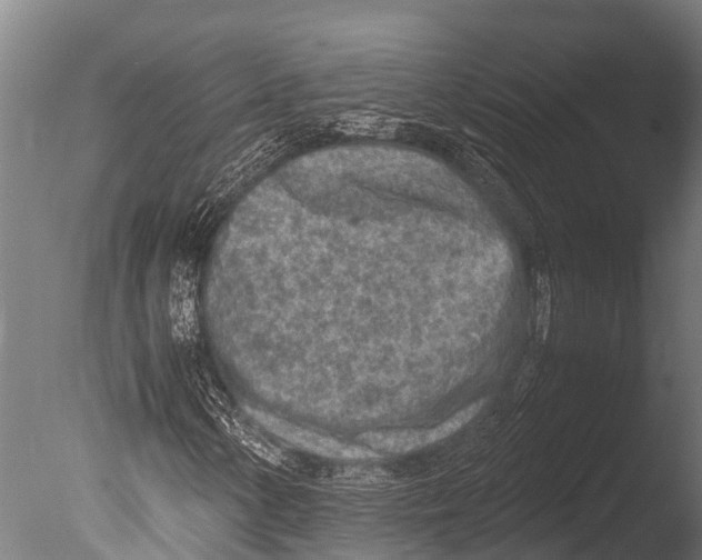 X0000085011154200704021353