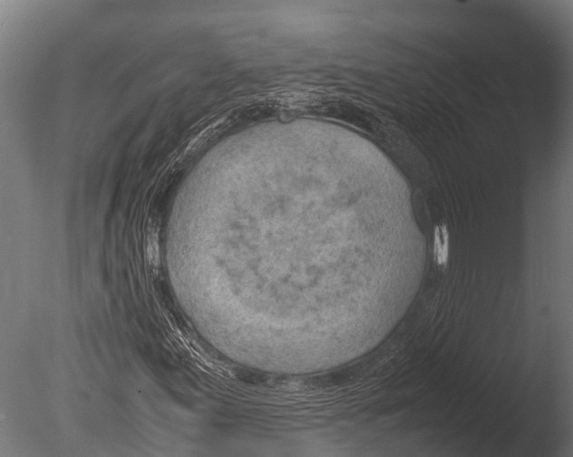 X0000085011155200704021353