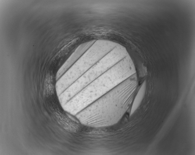 X0000085011156200704021353