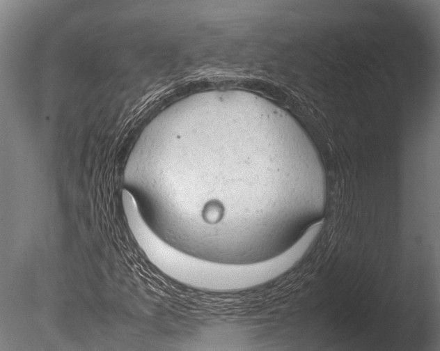 X0000085011157200704021353