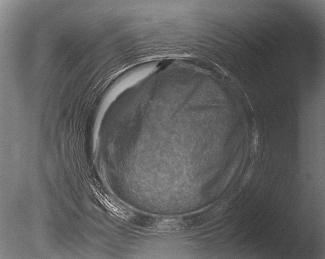 X0000085011161200704021352