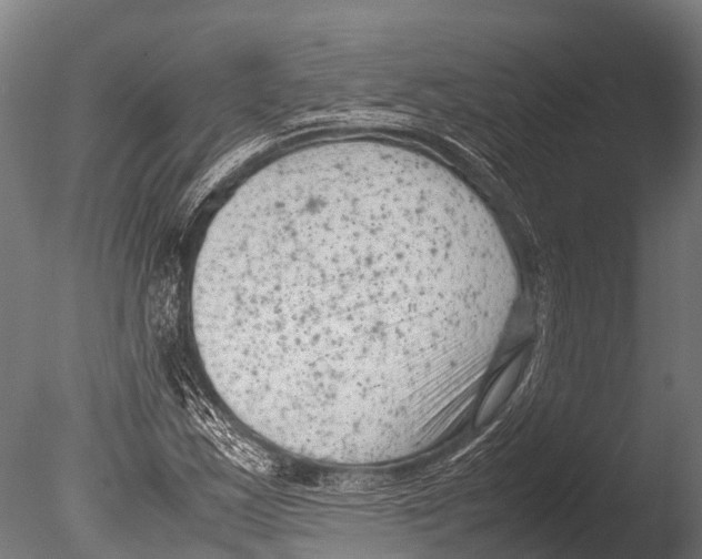 X0000085011163200704021352