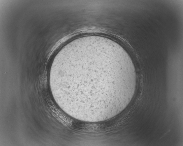 X0000085011167200704021352