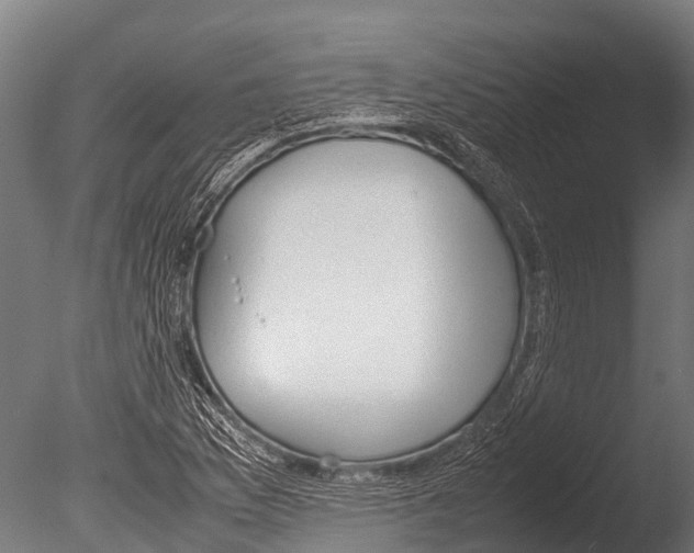 X0000085011169200704021352