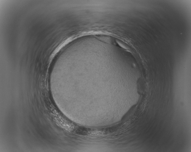 X0000085011173200704021352