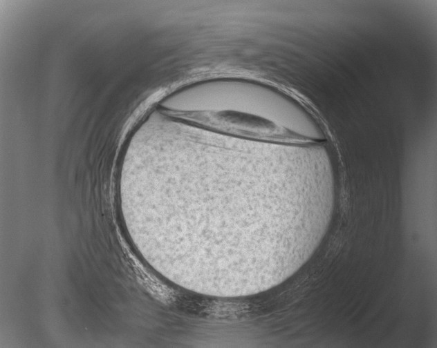 X0000085011183200704021352