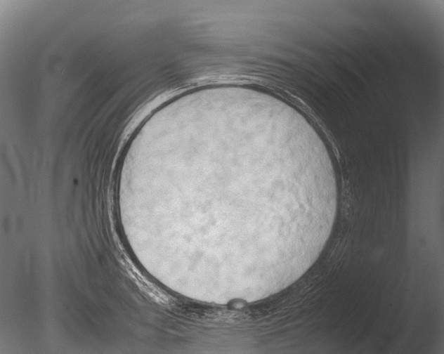 X0000085011187200704021352