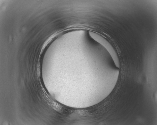 X0000085011188200704021352