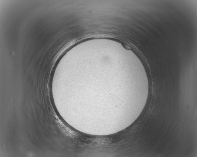 X0000085011189200704021352