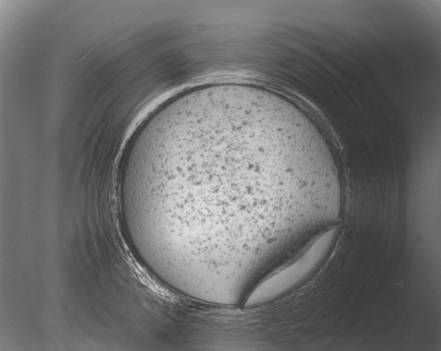 X0000085011192200704021352