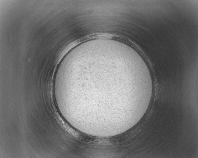 X0000085011194200704021352