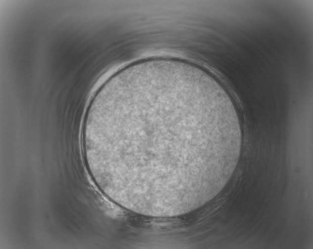 X0000085011199200704021352