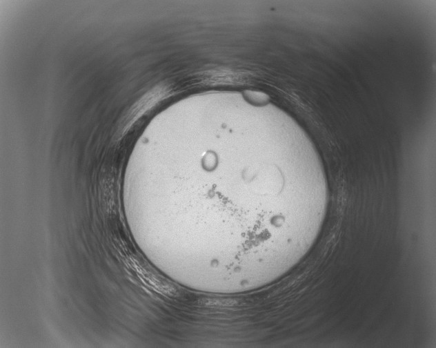 X0000085011211200704021351