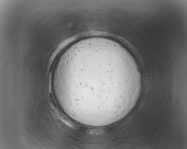 X0000085011223200704021351