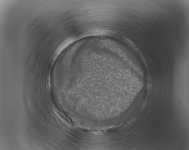 X0000085011226200704021351