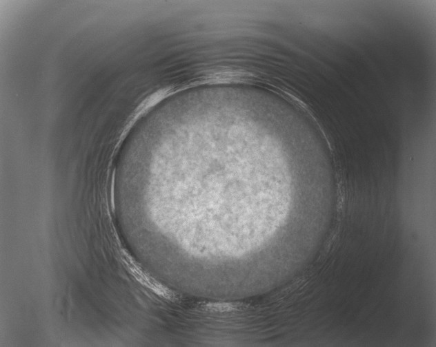 X0000085011227200704021351