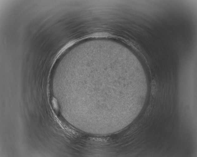 X0000085011229200704021351