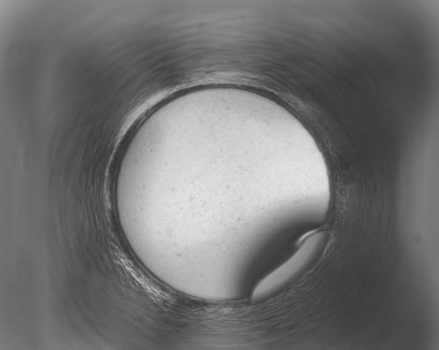 X0000085011230200704021351