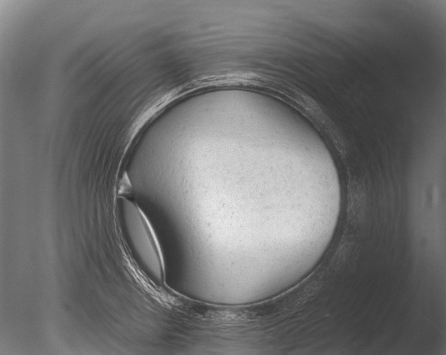 X0000085011234200704021351