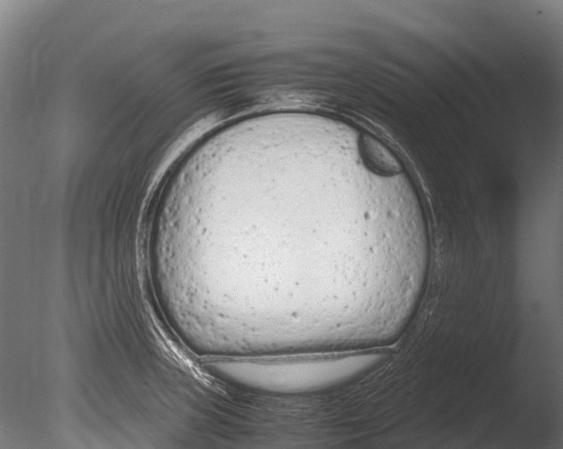 X0000085011235200704021352