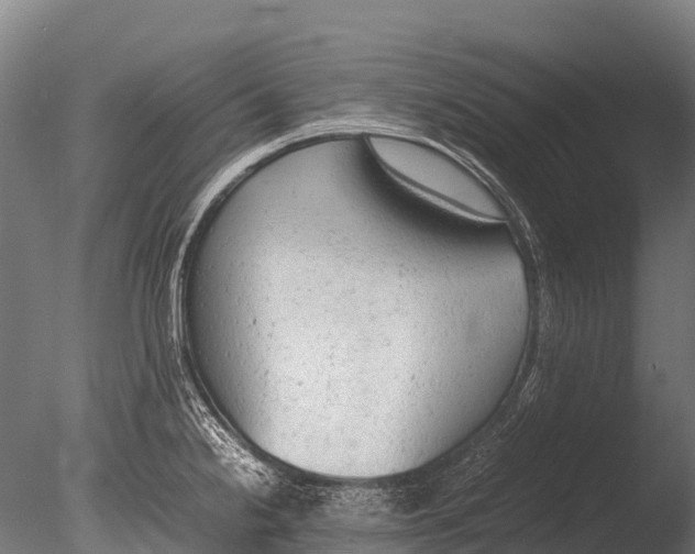 X0000085011238200704021352