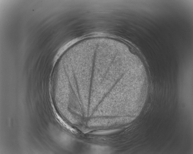 X0000085011239200704021352