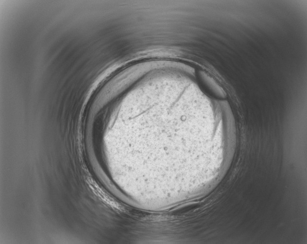 X0000085011240200704021352