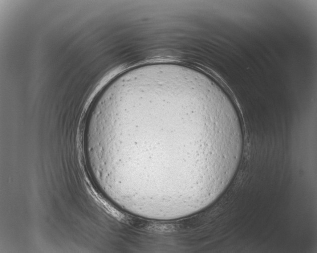 X0000085011243200704021352