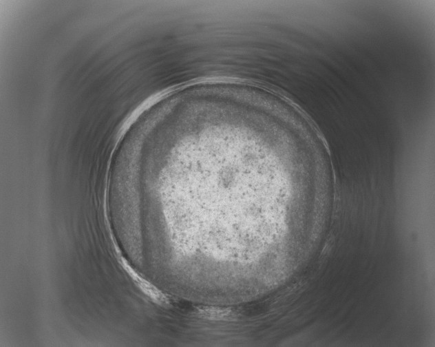 X0000085011245200704021352