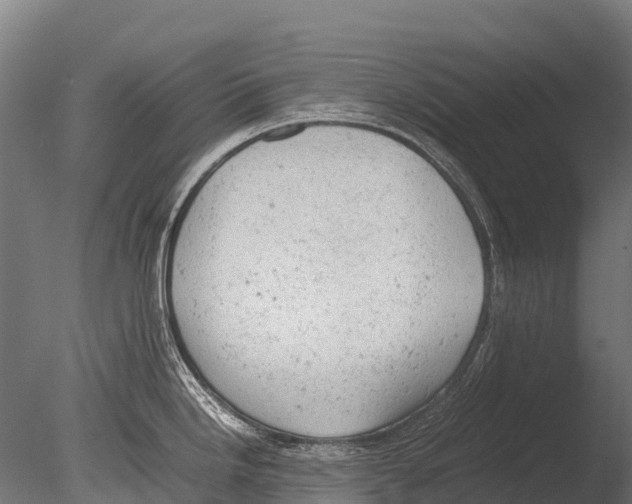 X0000085011246200704021352