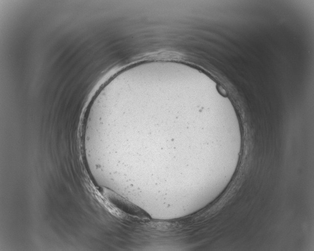 X0000085011248200704021352