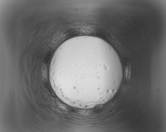 X0000085011251200704021351