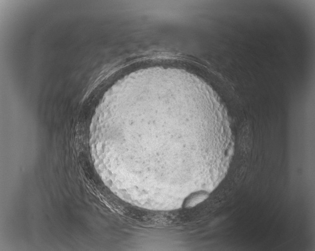 X0000085011255200704021351