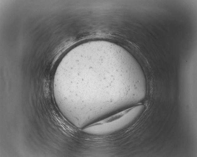 X0000085011260200704021351