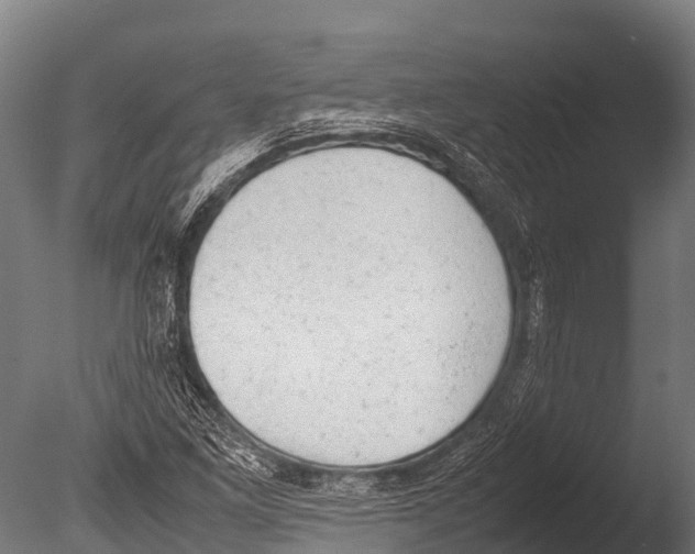 X0000085011261200704021351