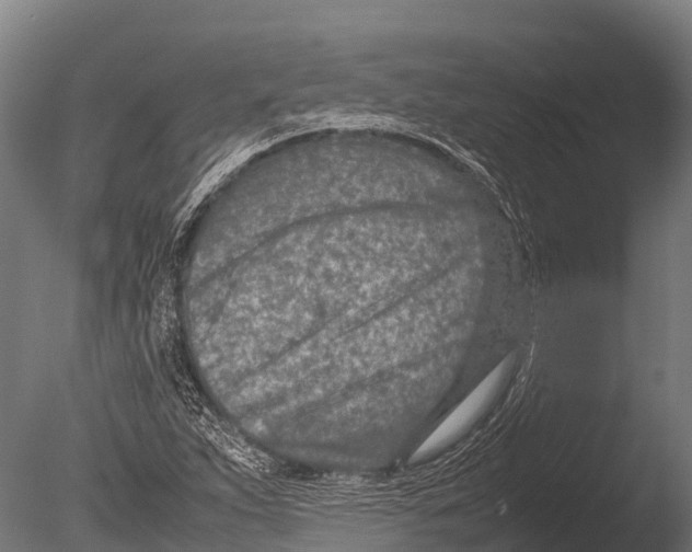 X0000085011263200704021351