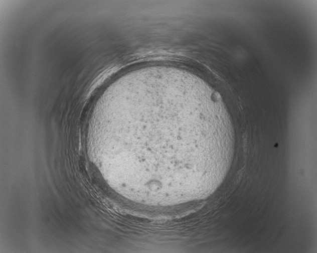 X0000085011267200704021351