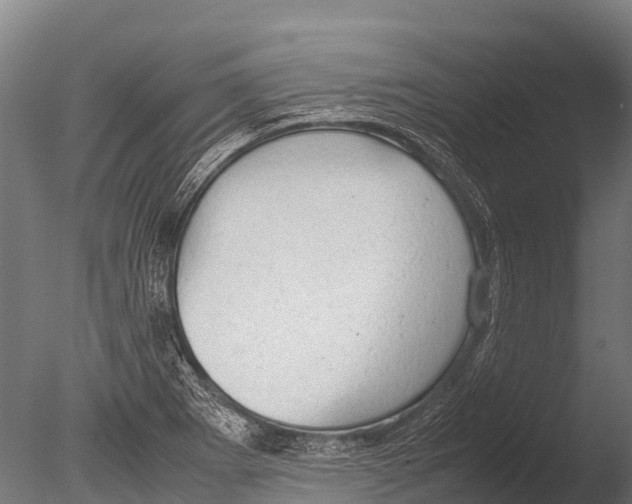 X0000085011273200704021350