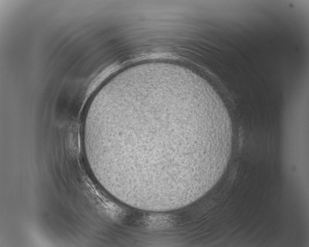 X0000085011274200704021350