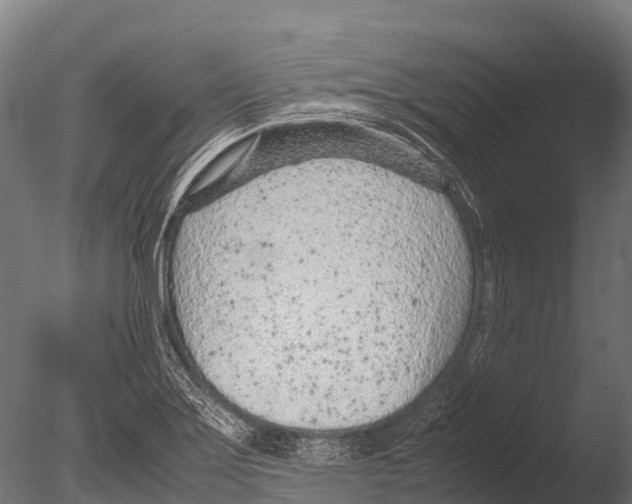 X0000085011275200704021350