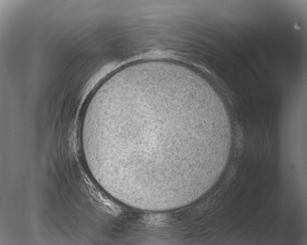 X0000085011278200704021350