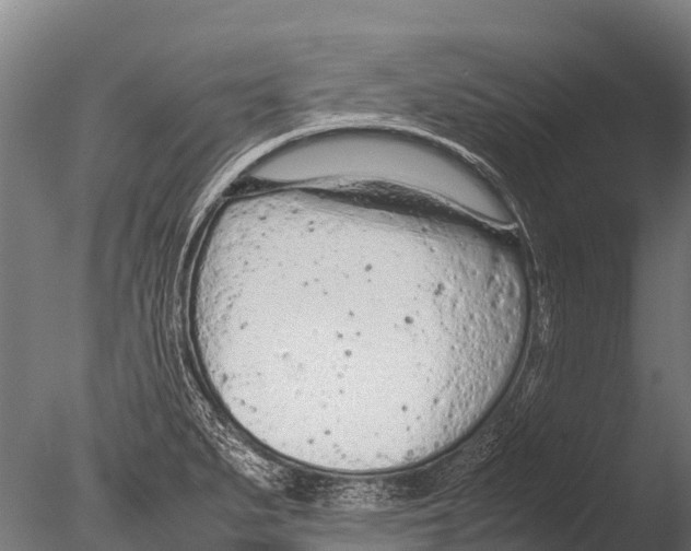 X0000085011279200704021350