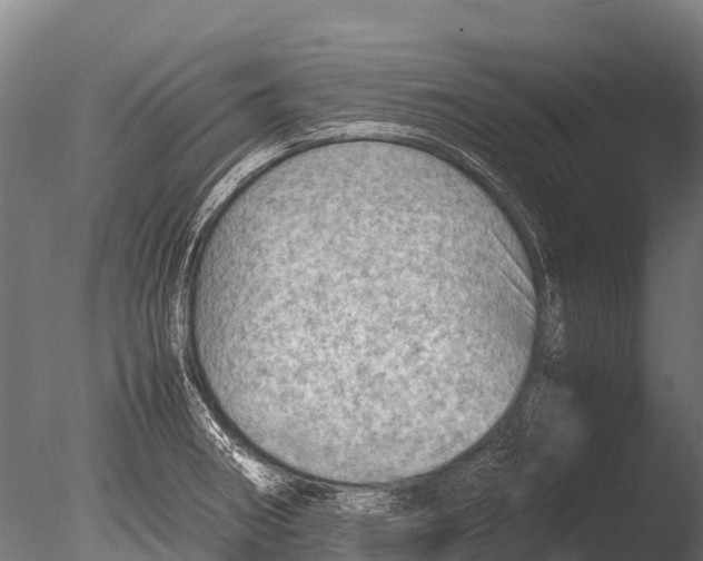 X0000085011282200704021350